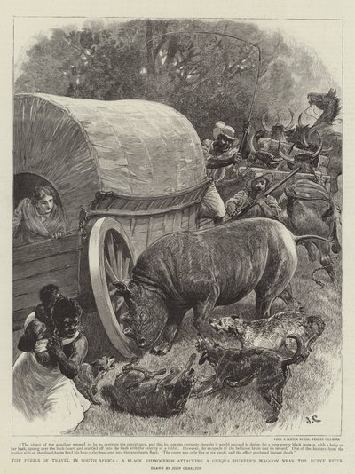 The Perils of Travel in South Africa, a Black Rhinoceros attacking a Griqua Hunter